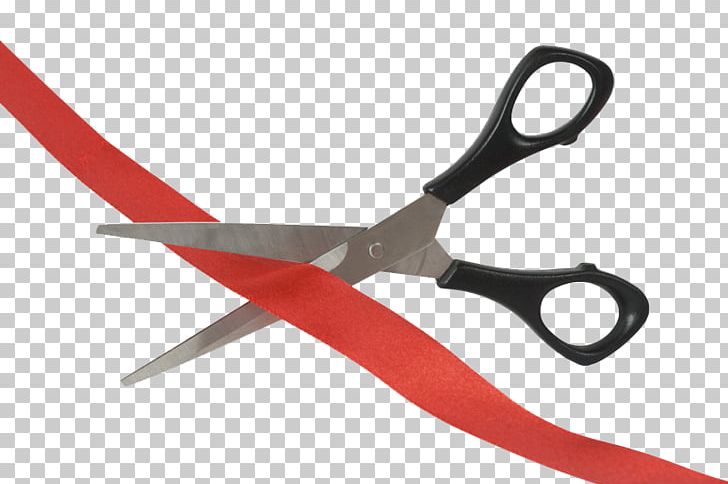 Scissors Fleming Island Cutting Nipper PNG, Clipart, Angle, Cutting, Cutting Tool, Diagonal Pliers, Fleming Island Free PNG Download