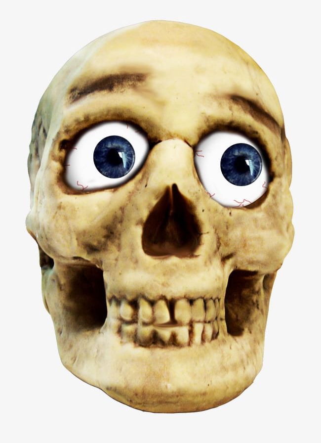 Skeleton Head PNG, Clipart, Halloween, Head, Head Clipart, Head Clipart, Skeleton Clipart Free PNG Download