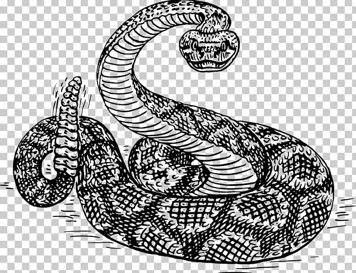 Western Diamondback Rattlesnake Crotalus Ruber PNG, Clipart, Animals, Automotive Design, Black And White, Boa Constrictor, Boas Free PNG Download