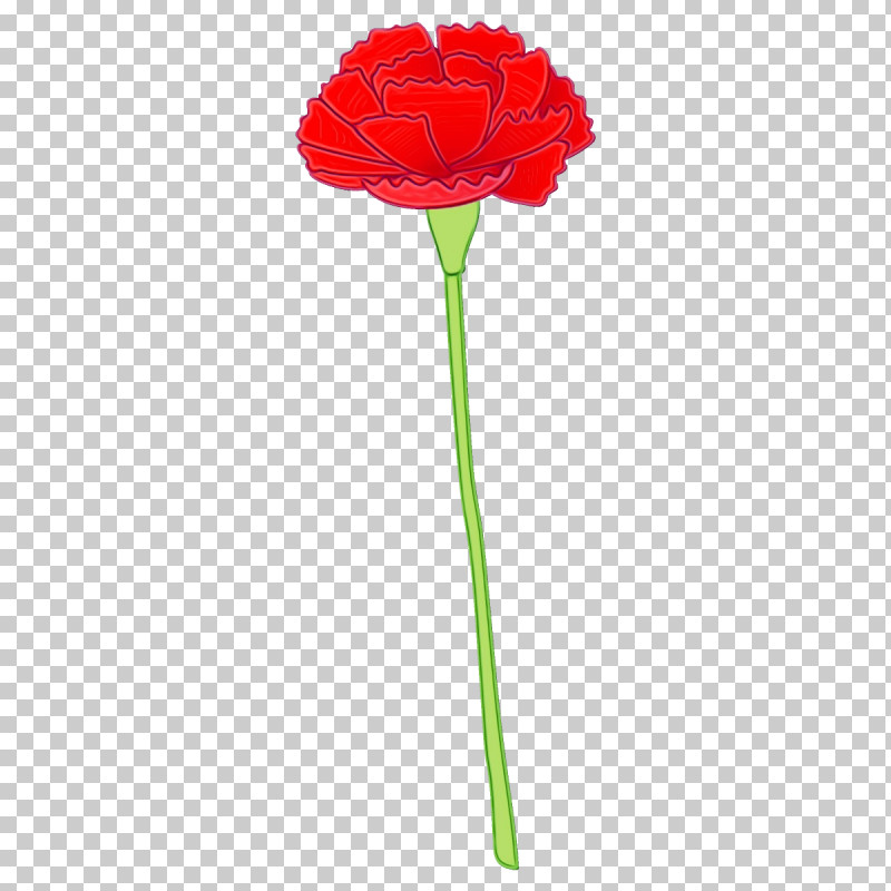 Flower Red Cut Flowers Plant Plant Stem PNG, Clipart, Carnation, Coquelicot, Cut Flowers, Flower, Paint Free PNG Download