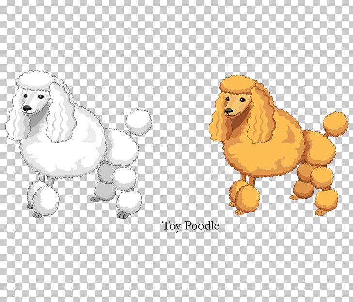 Cartoon Yellow White Toy Poodle PNG, Clipart, Animal, Animals, Ballo, Big Cats, Black White Free PNG Download