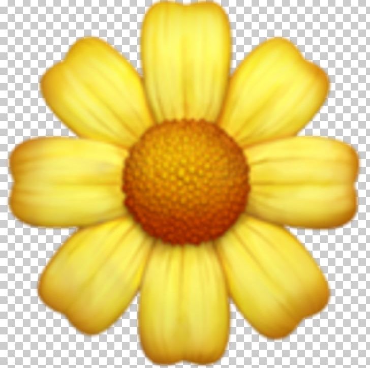 Emoji Sticker Flower PNG, Clipart, Chrysanths, Daisy Family, Desktop Wallpaper, Emoji, Emoji Movie Free PNG Download