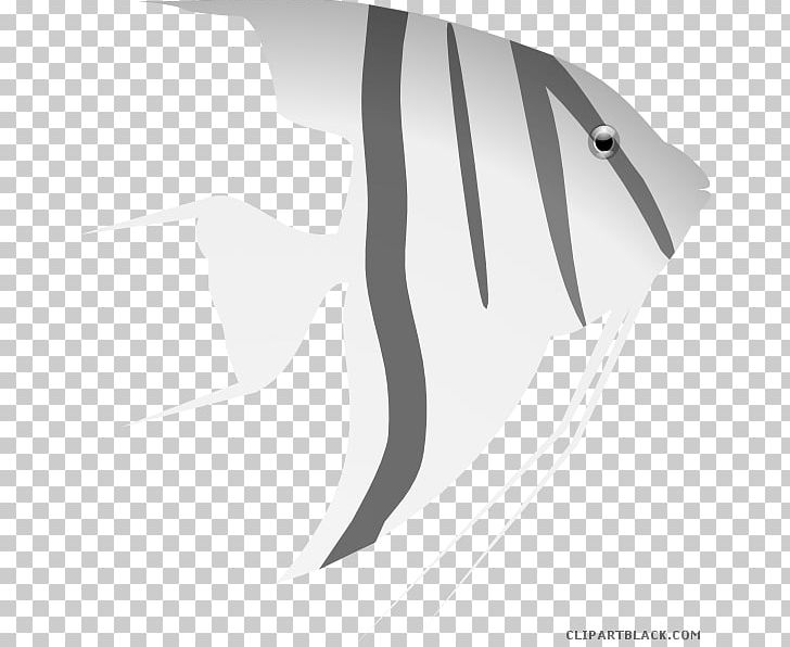 Goldfish Freshwater Angelfish Ray-finned Fishes Aquarium Marine Angelfishes PNG, Clipart, Angelfish, Angle, Animals, Aquarium, Black Free PNG Download