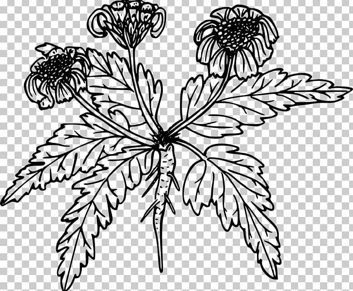 Computer Icons PNG, Clipart, Artwork, Balsamorhiza, Black And White, Branch, Brush Footed Butterfly Free PNG Download