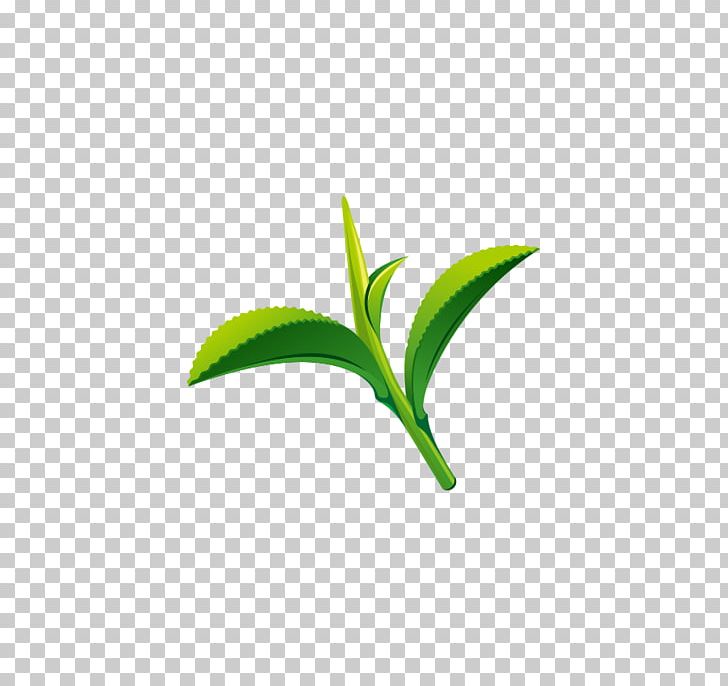 Green Tea Leaf Logo PNG, Clipart, Background Green, Computer Wallpaper, Download, Euclidean Vector, Eyesight Free PNG Download