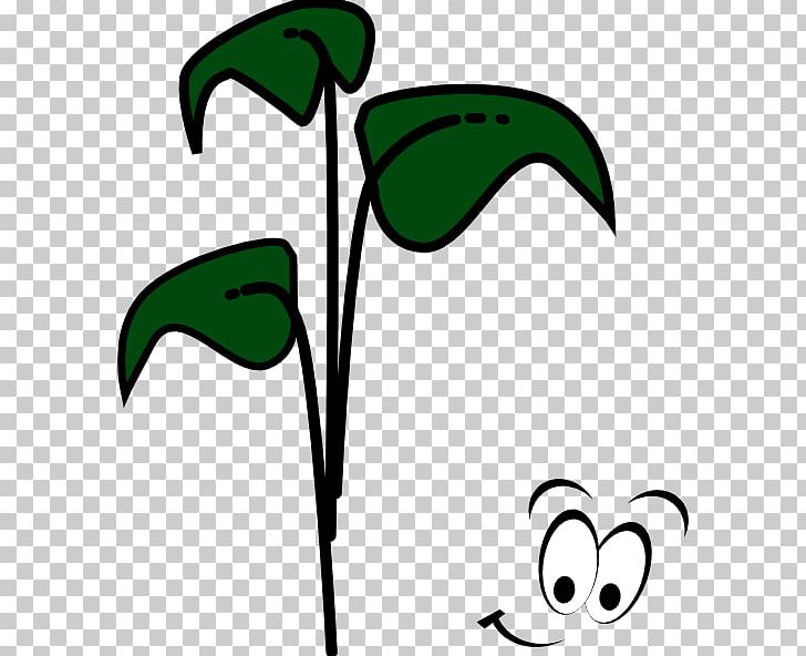Sprouting Bean Brussels Sprout Cartoon PNG, Clipart, Area, Artwork, Bean, Black And White, Branch Free PNG Download