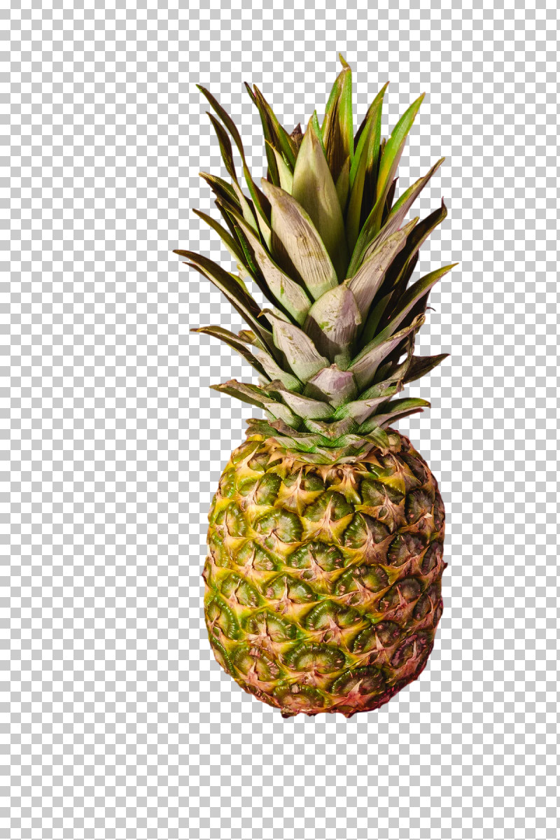 Pineapple PNG, Clipart, Banan, Biology, Flowerpot, Fruit, King Free PNG Download