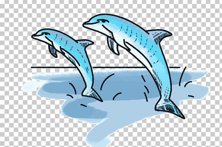 Common Bottlenose Dolphin Satchel Tucuxi Scout FC Bayern Munich PNG, Clipart, Animal, Bottlenose Dolphin, Boy, Common Bottlenose Dolphin, Delfin Free PNG Download