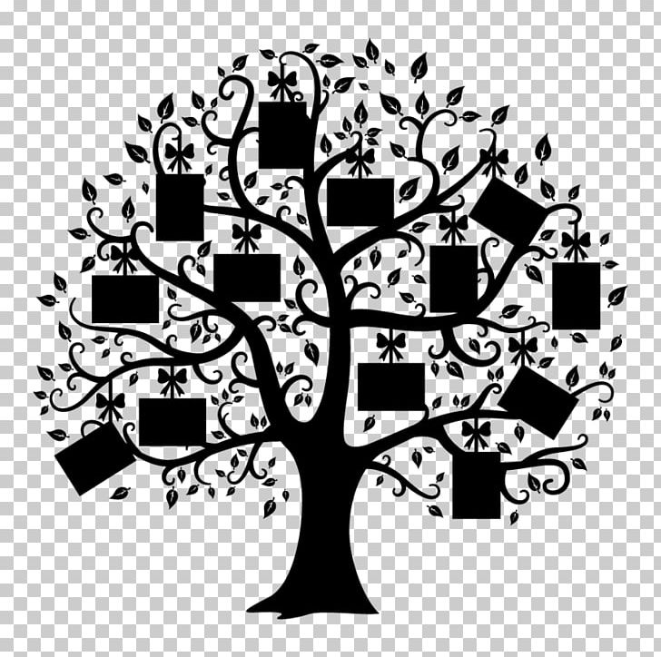 Tree Of Life Paper Pine Forest PNG, Clipart, Art, Black And White, Brand, Christmas Tree, Drawing Free PNG Download