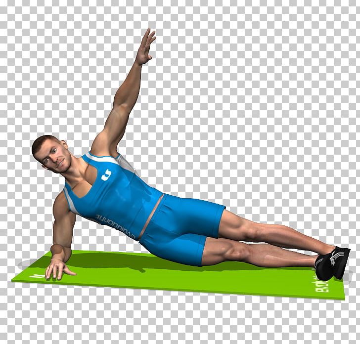 Plank Pilates Rectus Abdominis Muscle Abdomen Abdominal External Oblique Muscle PNG, Clipart, Abdomen, Abdominal External Oblique Muscle, Arm, Balance, Calf Free PNG Download