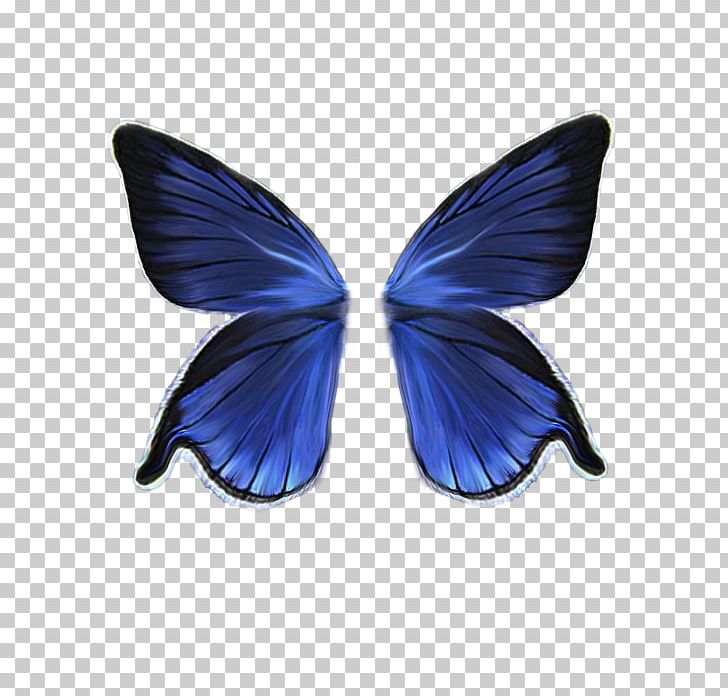 Butterfly Drawing PNG, Clipart, Aigle, Blue, Butterflies And Moths, Butterfly, Deviantart Free PNG Download