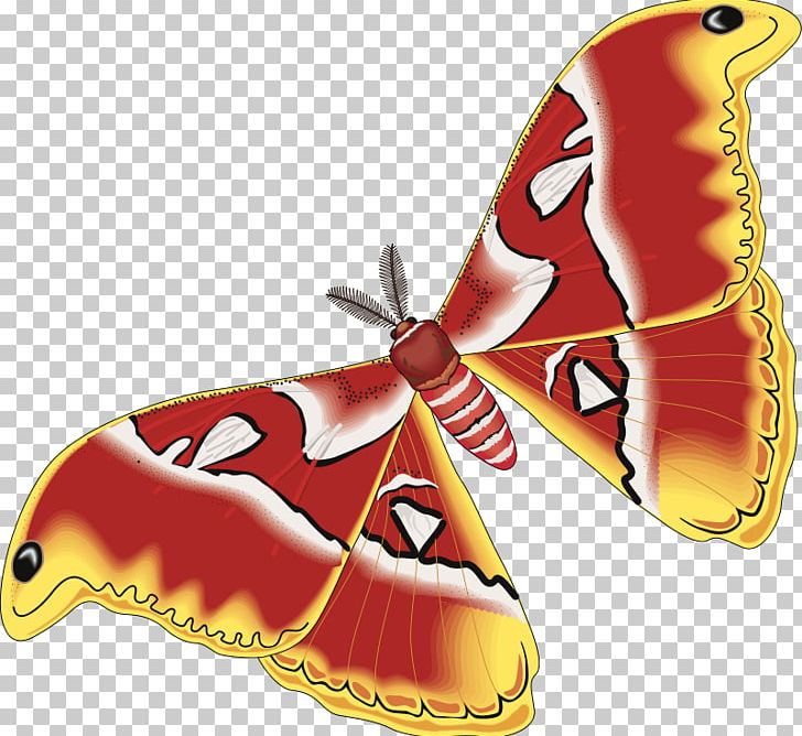 Butterfly Moth Amphibian Metamorphosis Insect PNG, Clipart, Amphibian, Biological Life Cycle, Bozzolo, Butterflies And Moths, Butterfly Free PNG Download