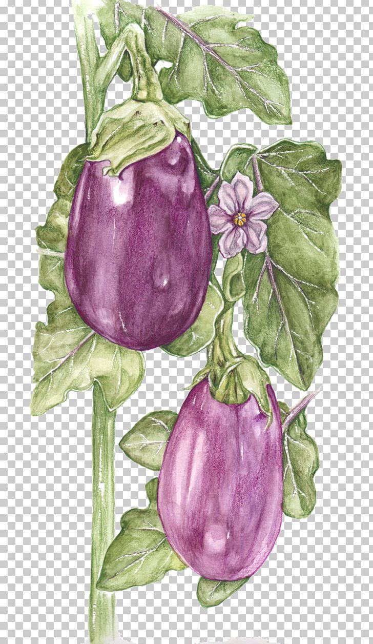 Fruit Watercolor Painting Vegetable Eggplant Drawing PNG, Clipart, Animation, Cartoon, Creative, Drawing, Eggplant Free PNG Download