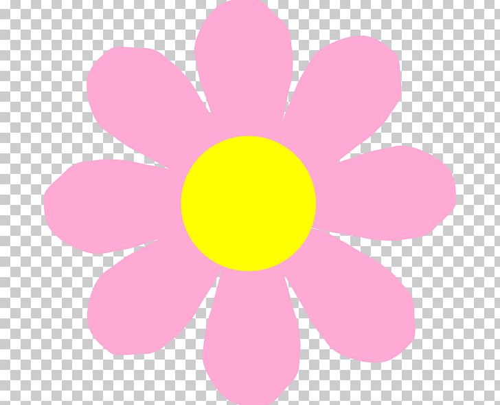 Pink Flowers Fuchsia PNG, Clipart, Blue, Circle, Computer Icons, Flower, Flowering Plant Free PNG Download