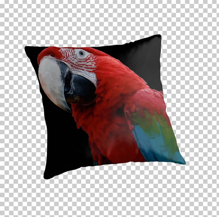 Cushion Throw Pillows Couch Bed PNG, Clipart, Anybody, Beak, Bed, Bird, Couch Free PNG Download