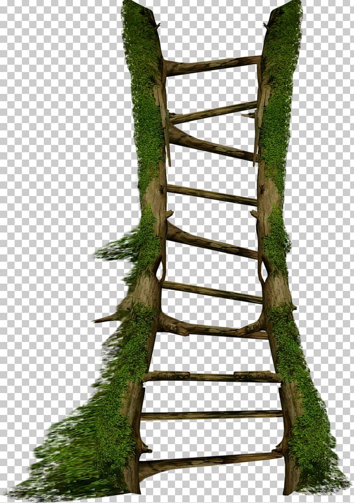 Stairs Ladder /m/083vt PNG, Clipart, Branch, Christmas, Clip Art, Garden, Grass Free PNG Download