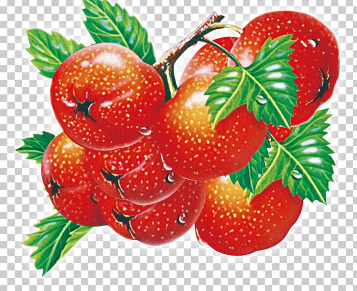 Strawberry Accessory Fruit Food Vegetable PNG, Clipart, Accessory Fruit, Auglis, Berry, Cherries, Cherry Free PNG Download
