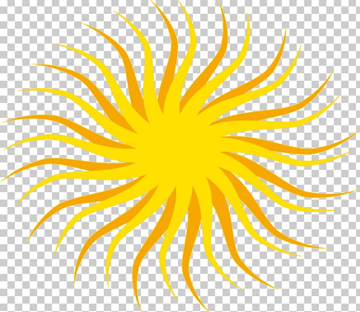 Sunlight PNG, Clipart, Brightness, Circle, Com, Download, Flower Free PNG Download