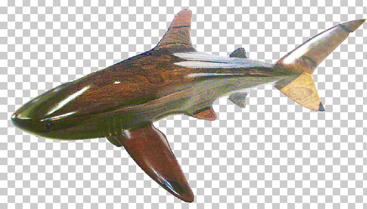 Whale Shark Bull Shark Blacktip Shark Cetacea PNG, Clipart, Animals, Art, Blacktip Shark, Bull Shark, Cartilaginous Fish Free PNG Download