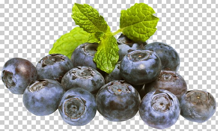 Blueberry Fruit PNG, Clipart, Berry, Bilberry, Blueberries, Blueberries Png, Blueberry Free PNG Download