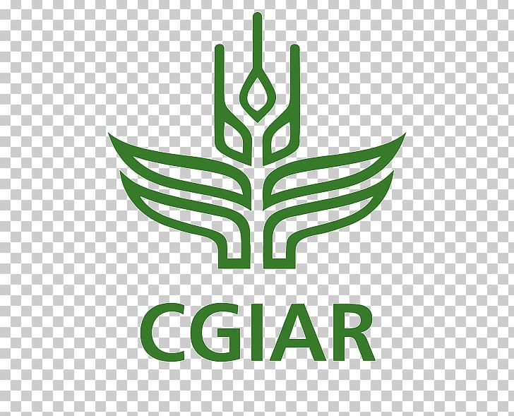 CGIAR International Institute Of Tropical Agriculture Organization Global Forum On Agricultural Research And Innovation PNG, Clipart, Agriculture, Area, Artwork, Big Data, Bioversity International Free PNG Download