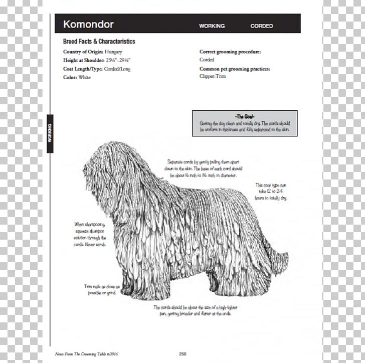 Glen The Notes Pocket Pal: Notes From The Grooming Table ; An All-breed Grooming Guide For The Professional Pet Stylist Dog Grooming Schnauzer PNG, Clipart, Belt Massage, Black And White, Book, Breed, Carnivoran Free PNG Download