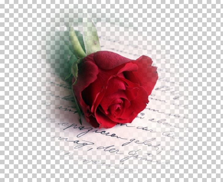 Valentine's Day Love Letter Romance Poetry PNG, Clipart,  Free PNG Download