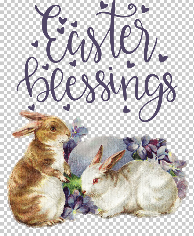 Easter Bunny PNG, Clipart, Easter Bunny, Flower, Meter, Rabbit Free PNG Download