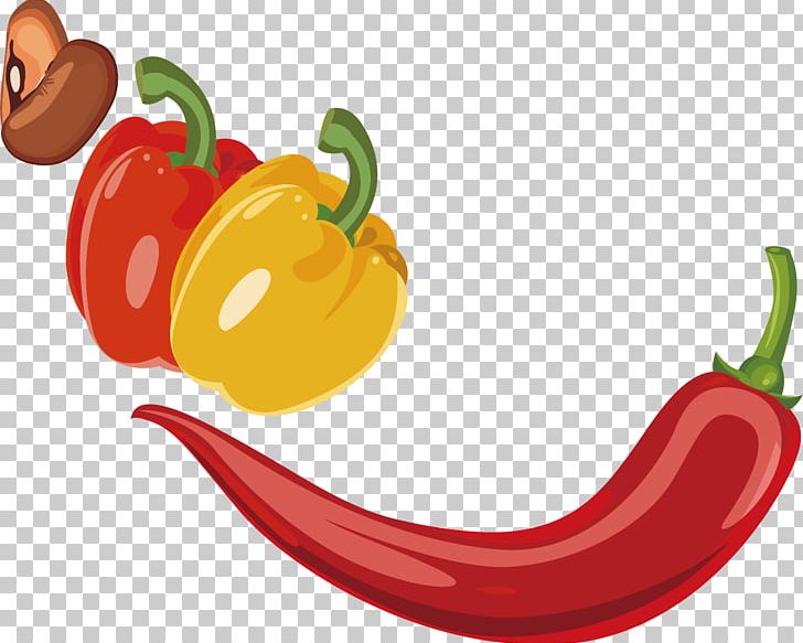Chili Pepper Bell Pepper Vegetable PNG, Clipart, Balloon Cartoon, Bell Peppers And Chili Peppers, Boy Cartoon, Capsicum Annuum, Cartoon Character Free PNG Download