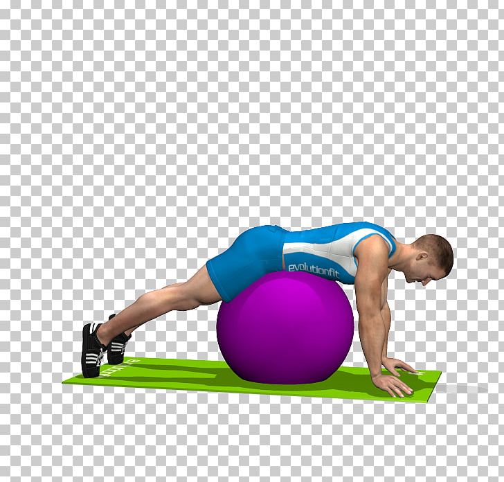 Pilates Exercise Balls Gluteal Muscles Medicine Balls PNG, Clipart, Abdomen, Arm, Balance, Chest, Core Stability Free PNG Download