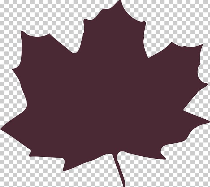 Autumn Leaf Color PNG, Clipart, Autumn, Autumn Leaf Color, Black And White, Drawing, Flower Free PNG Download