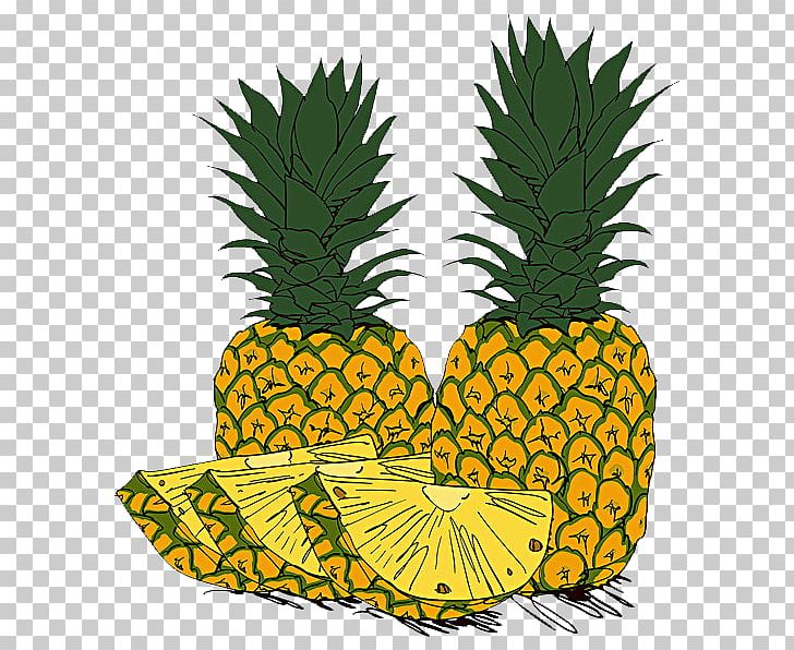 Nago Pineapple Park Fruit Photography Illustration PNG, Clipart, Ananas, Bromeliaceae, Drawing, Flowering Plant, Flowerpot Free PNG Download
