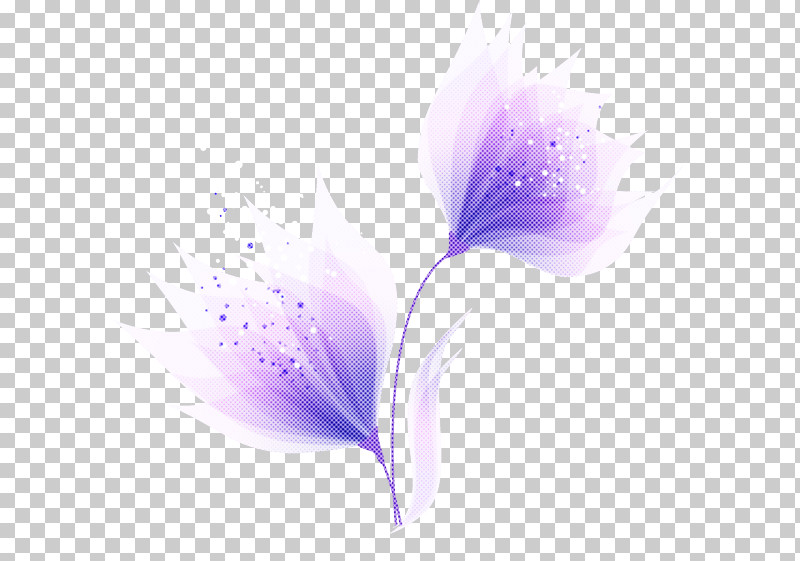 Lavender PNG, Clipart, Closeup, Computer, Flower, Lavender, M Free PNG Download