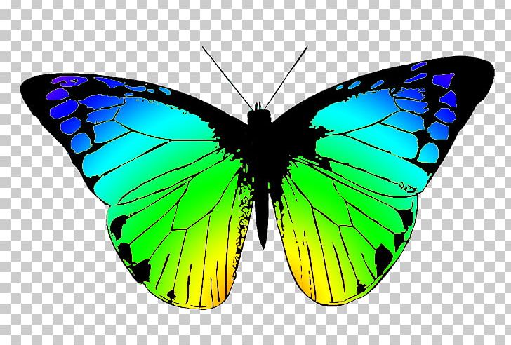 Butterfly Free Content PNG, Clipart, Arthropod, Brush Footed Butterfly, Butter, Classic Butterfly Cliparts, Computer Free PNG Download