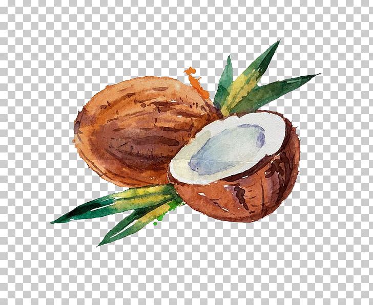 Coconut Water Coconut Milk Watercolor Painting PNG, Clipart, Art, Brown, Cartoon, Cartoon Coconut, Child Free PNG Download