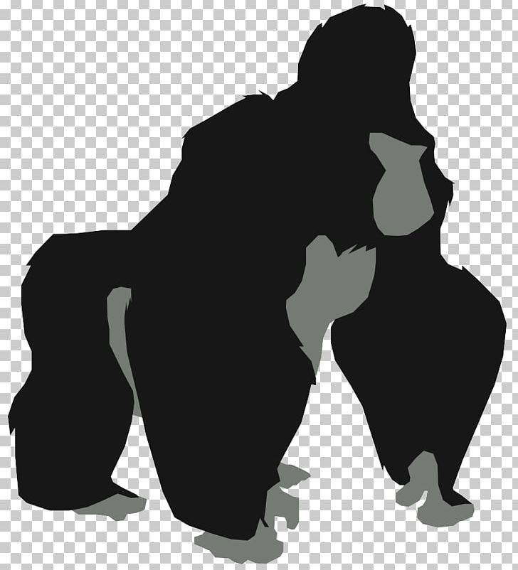 Gorilla Kerchak King Kong Primate Bwindi Impenetrable National Park PNG, Clipart, Animaatio, Animals, Black, Black And White, Bwindi Impenetrable National Park Free PNG Download