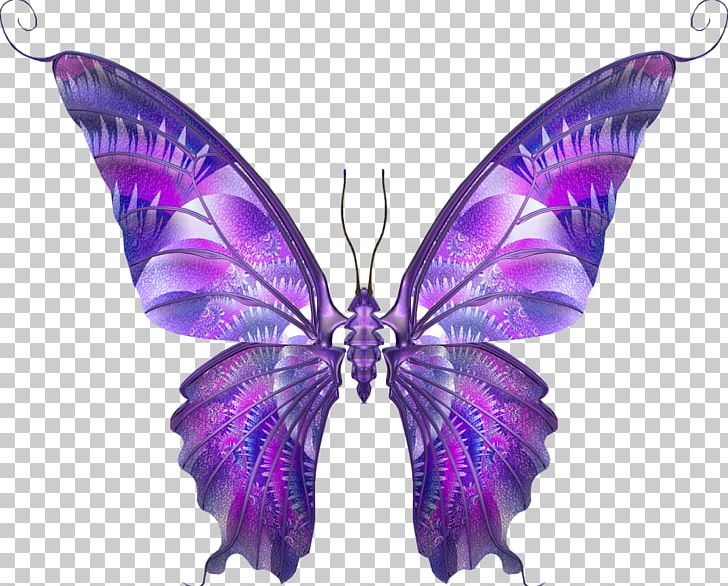 Insect Drawing Butterflies And Moths Sketch PNG, Clipart, Art, Butterflies And Moths, Butterfly, Digital Image, Drawing Free PNG Download