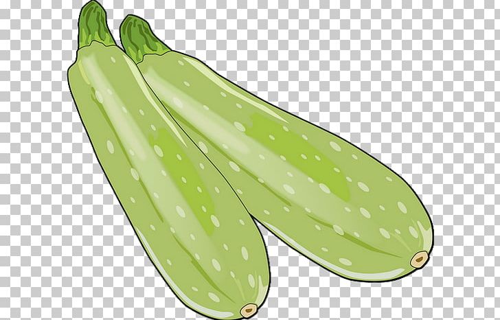 Pickled Cucumber Zucchini Summer Squash Drawing PNG, Clipart, Commodity, Cooking, Cooking Banana, Cooking Plantain, Cucumber Free PNG Download