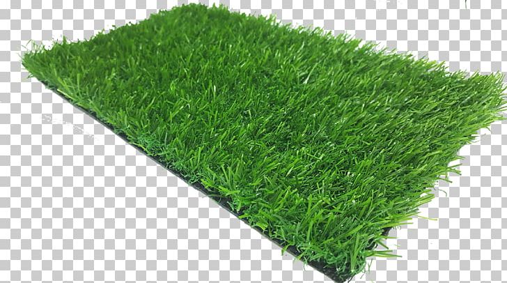 Artificial Turf Garden Lawn FieldTurf Game PNG, Clipart, Artificial Turf, Athletics Field, Backyard, Fieldturf, Game Free PNG Download