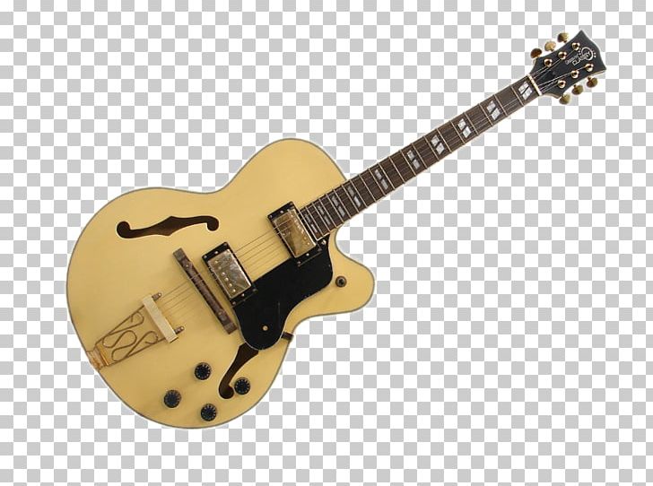 Acoustic-electric Guitar Acoustic Guitar Slide Guitar Jay Turser PNG, Clipart, Acoustic Electric Guitar, Bass Guitar, Bob Dylan, Electric Guitar, Electronic Musical Instrument Free PNG Download