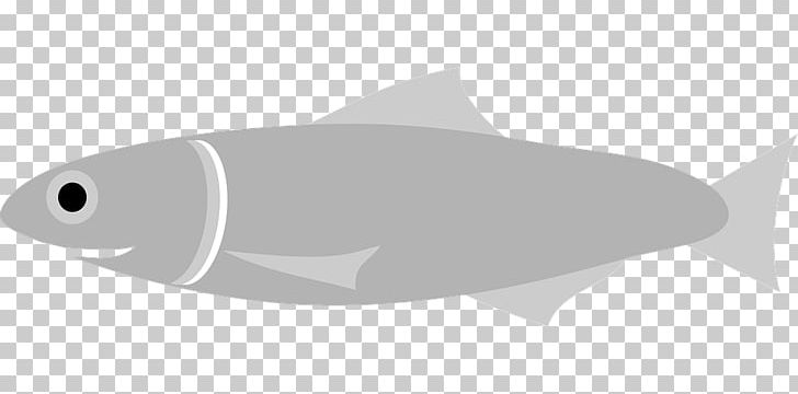 Fish European Anchovy Drawing PNG, Clipart, Anchovy, Animal, Animals, Blog, Download Free PNG Download