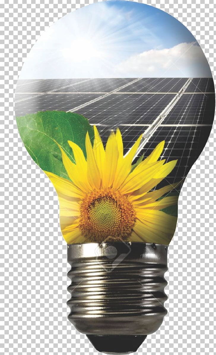 Solar Panels Solar Energy Photovoltaic Power Station Solar Power Photovoltaics PNG, Clipart, Energy Technology, Expert, Flower, Flowerpot, Lighting Free PNG Download