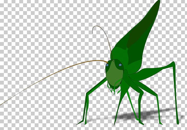 The Ant And The Grasshopper Insect PNG, Clipart, Ant And The Grasshopper, Arthropod, Caelifera, Computer Icons, Cricket Free PNG Download
