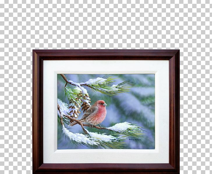 Bird Finches Winter Snow Cygnini PNG, Clipart, Animal, Art, Bird, Bird Nest, Branch Free PNG Download