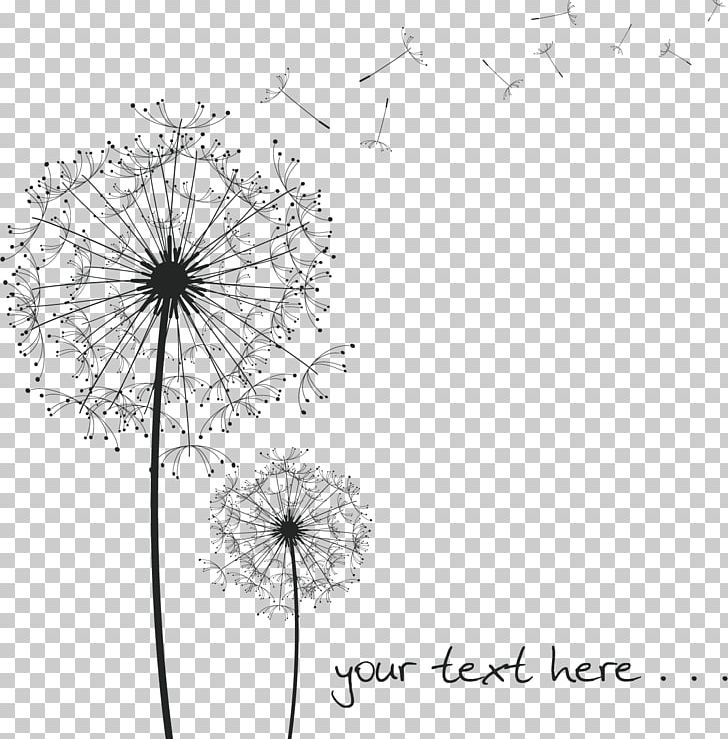 Common Dandelion Drawing Presentation Paper PNG, Clipart, Angle, Black, Black And White, Christmas Decoration, Circle Free PNG Download
