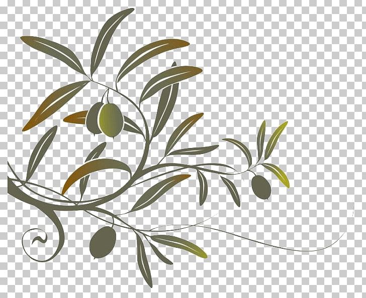 Olive Branch Wall Decal PNG, Clipart, Black And White, Branch, Drawing, Flora, Flower Free PNG Download