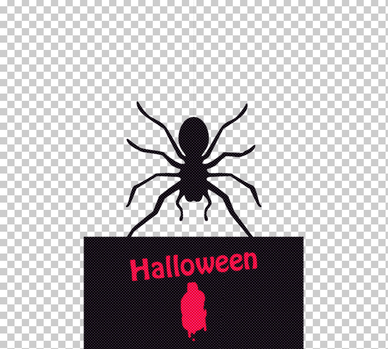 Spider Black Logo Text Arachnid PNG, Clipart, Arachnid, Black, Insect, Logo, Pest Free PNG Download