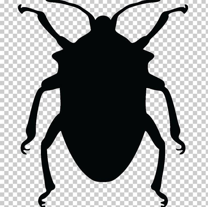 Beetle Silhouette PNG, Clipart, Animals, Artwork, Beetle, Black And White, Dung Beetle Free PNG Download