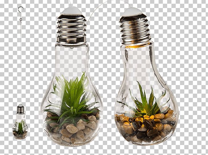 Incandescent Light Bulb LED Lamp Succulent Plant PNG, Clipart, Bottle, Chandelier, Furniture, Glass, Glass Bottle Free PNG Download