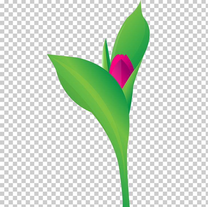 Petal Leaf Plant Stem PNG, Clipart, Clinical Psychology, Closeup, Flora, Flower, Flowering Plant Free PNG Download